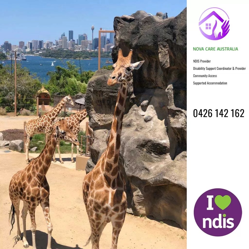 nova-care-australia-diability-support-coordinator-and-provider-in-sydney-003